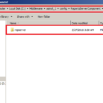 How To Find Report Server Name In Oracle 11g IAMMRFOSTER COM