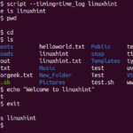 How To Run script Command In Linux Linux Hint