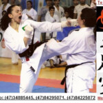 Karate Feminino