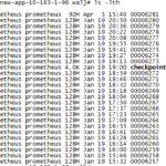 Logging How To Delete Prometheus Log Files Cannot Start Prometheus