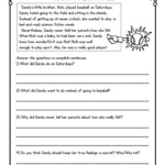 Second Grade Reading Comprehension Passages And Questions FREE SAMPLE