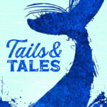 Tails Tales Library Summer Reading Summer Reading Program Library