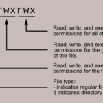 File Permision Linux Learning Self