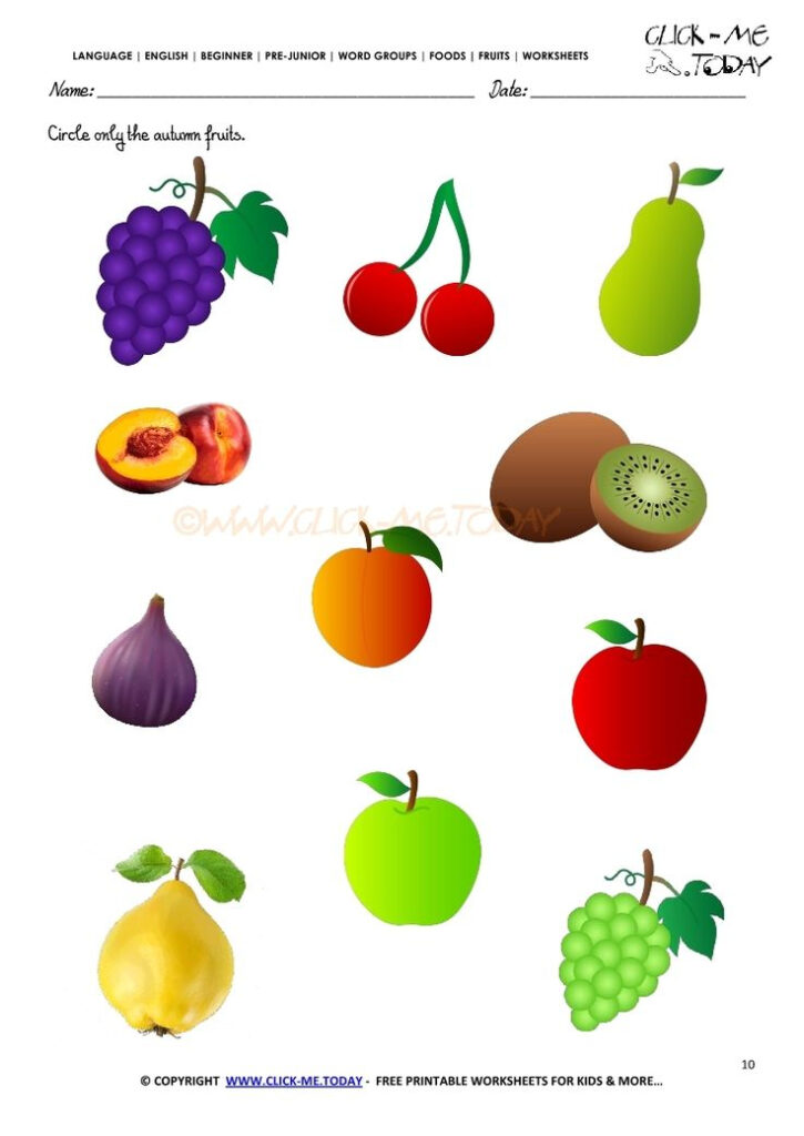 Fruits Worksheet 10 Circle Only The Autumn Fruits Fall Fruits 