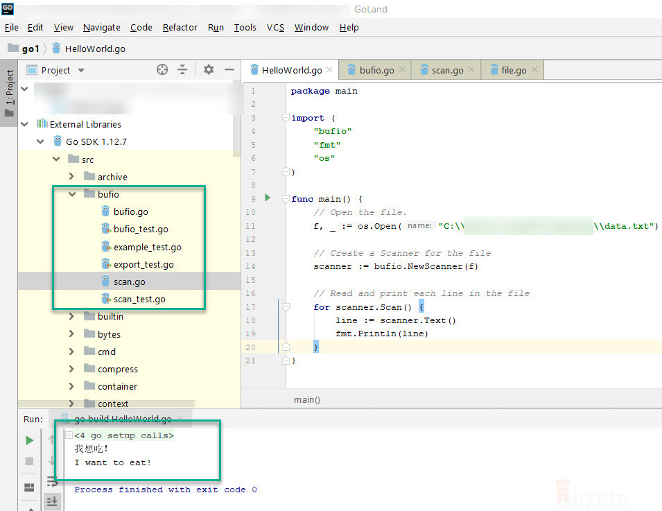 Golang Read Text File Line By Line Turreta