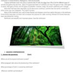 How Can We Save The Rainforests Worksheet Free ESL Printable