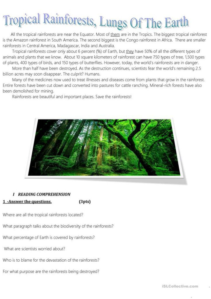 How Can We Save The Rainforests Worksheet Free ESL Printable 