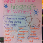 January Wrap Up mammals Anchor Chart January Wrap Up anchor chart