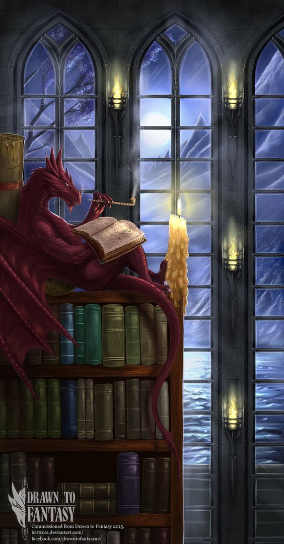 Not A Book Worm But A Book Dragon Bookworms Bibliophiles Love 