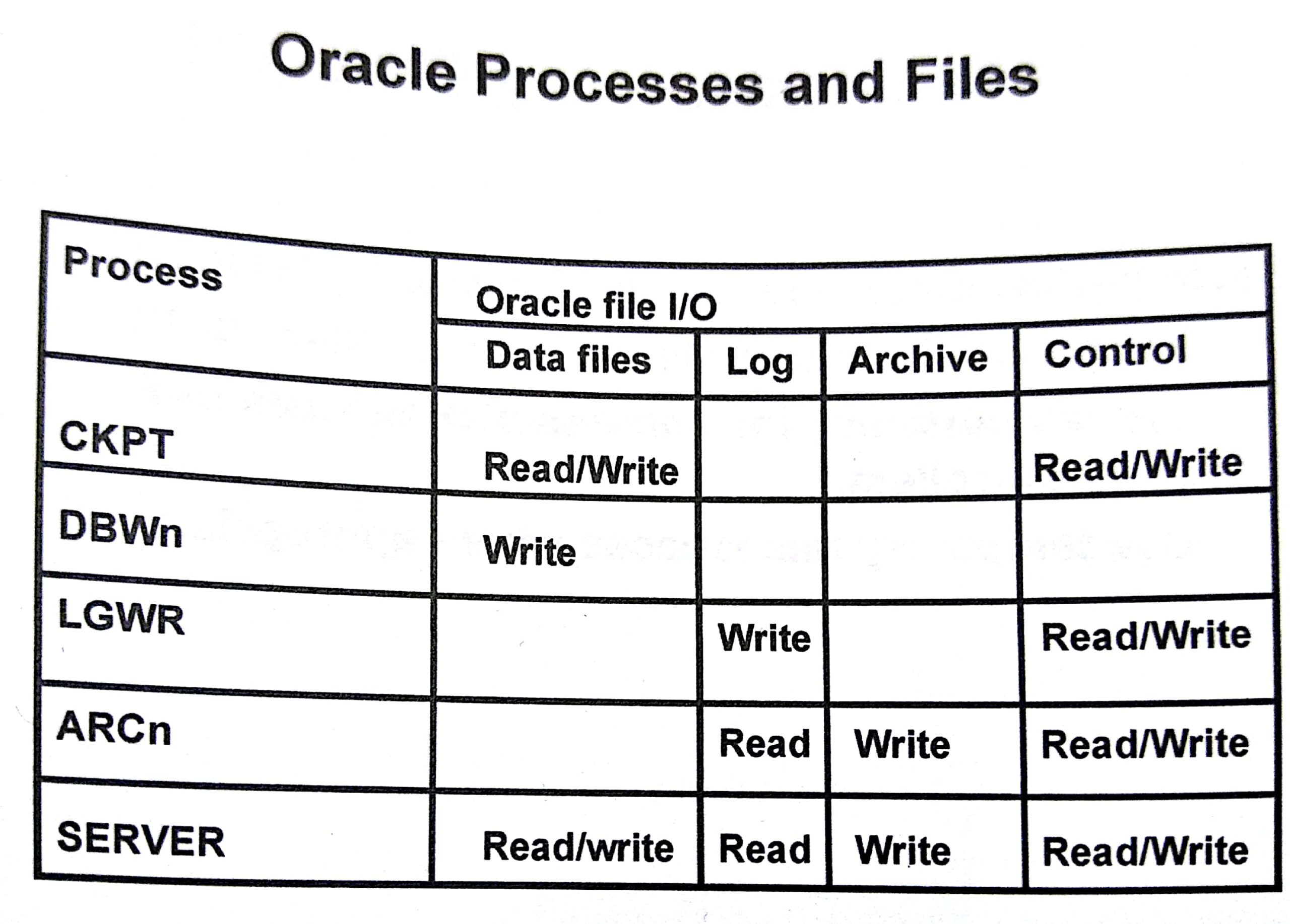 Oracle Processes Read Write From in Datafile Redo Log File Archive Log