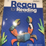 Reach For Reading Common Core Program Grade 5 Practice Book 97813 For