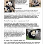 Reading 1 What Do You Know About Giant Pandas Worksheet Free ESL