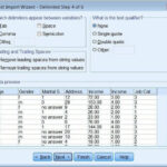 Reading Data From Text File In SPSS UrgentHomework