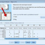 Reading Data From Text File In SPSS UrgentHomework