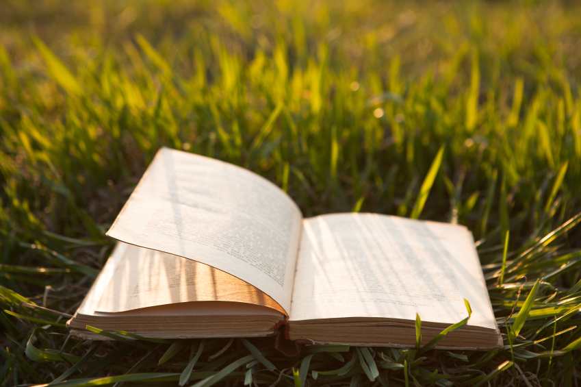Stanford Humanities Professors Share Summer Reading Picks Stanford