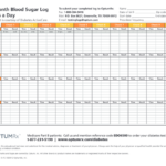 25 Blood Sugar Log Page 2 Free To Edit Download Print CocoDoc