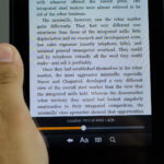 Amazon Kindle Fire Review