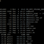 Basic Shell Programming In Unix DOTC Mdb