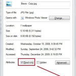Make Files And Folder Read Only In Windows 7 TechTin