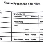 Oracle Processes Read Write From in Datafile Redo Log File Archive Log