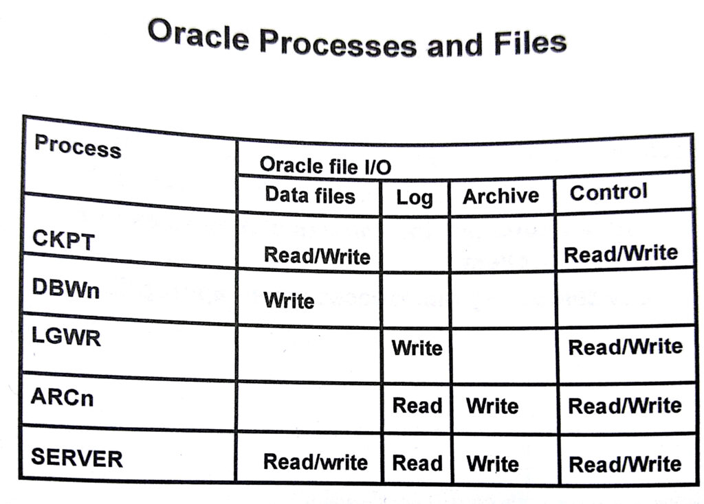 Oracle Processes Read Write From in Datafile Redo Log File Archive Log 