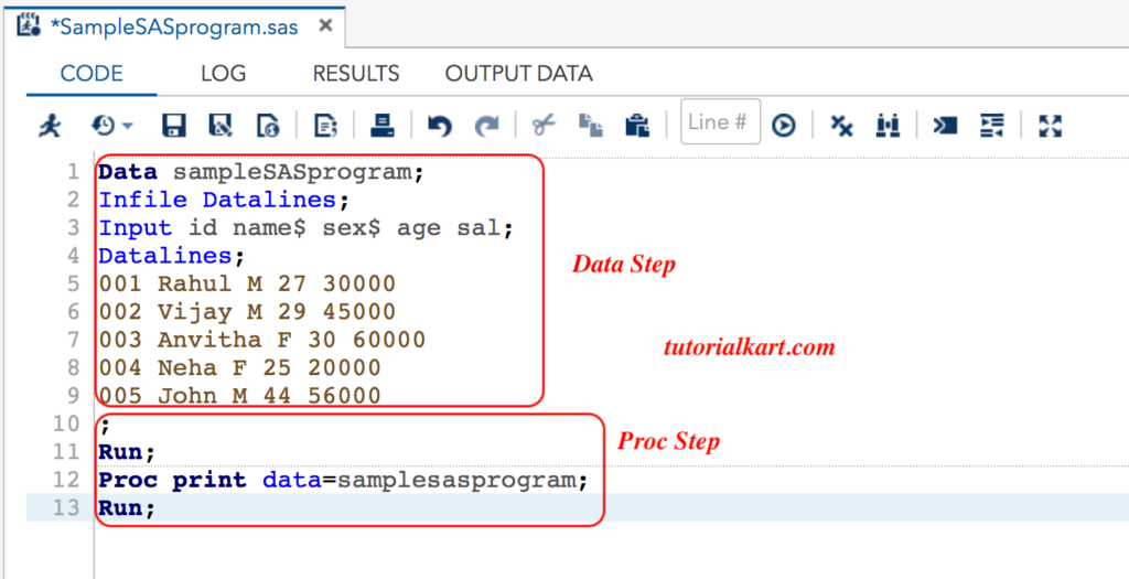 Writing Our First Sample SAS Program