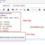 Writing Our First Sample SAS Program