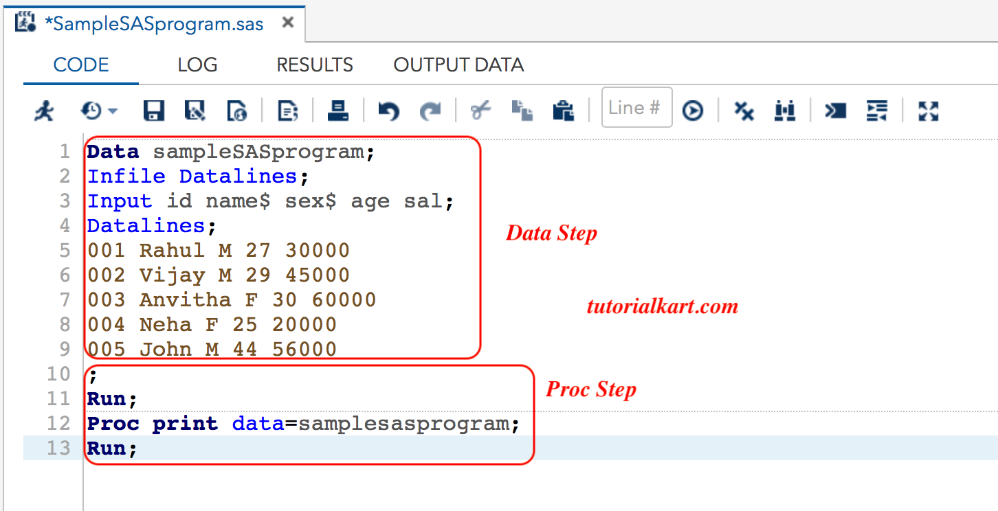 Writing Our First Sample SAS Program