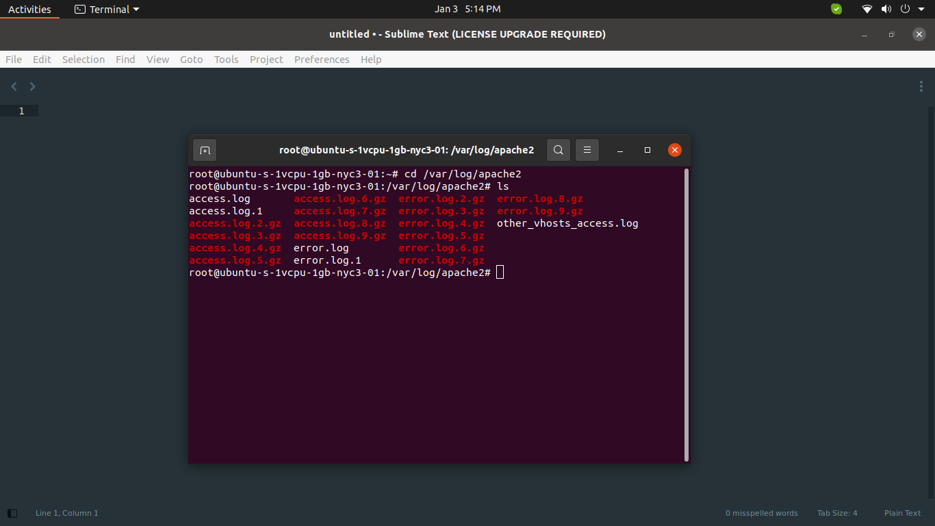 How To Check Apache Access Error Log Files In Ubuntu Server 