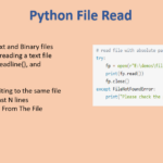 Reading Files In Python PYnative
